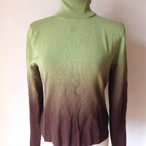 Darjoni Silk Blend Turtleneck Sweater/ Ombre Green to Brown/ Medium - Picture 5 of 9